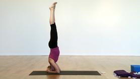 Reset Your Endocrine System & Shift Your Mood