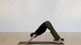 Down Dog Practice & Tutorial
