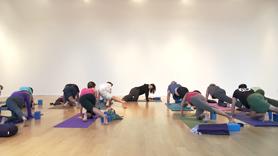 Explore Your Feet for Balance & Stability