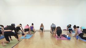 Open Your Shoulders & Hamstrings