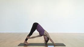 If you claim inflexibility as your excuse for avoiding yoga, this one's for you. Learn how to safely stretch your shoulders and hamstrings by bringing your muscles closer to your bones, teaching your body to open when you want to close, giving your body a half hour of ever-so-slightly-challenging healing.