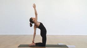 Pre-Natal Practice for Intermediate Practitioner