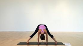 If you're having wrist/hand/elbow pain and would like to explore a practice to alleviate the issue, this 20 minute practice may help. We'll explore ways to strengthen shoulders, elbows and wrists, using only a couple of carefully instructed weight-bearing postures, and some standing poses without hands/wrists at all.