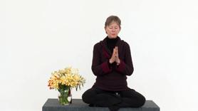 Master teacher Sally Kempton reveals how a creative, experimental approach to meditation practice can transform your practice. Highly practical and experiential, this is recommended for anyone wanting to add dynamism and sweetness to their meditation.