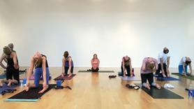 Backbend-oriented sun salutes get you ready for the big backbends! Hip flexor opening flow leads us up to 2 juicy rounds of King Dancer and a trio of Camel backbends.