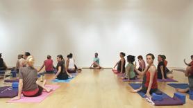 Steven gives a special thanks to all the students watching YogaGlo around the world! Energetic, heat building opening warm up followed by a strong Standing Pose series with Shoulder Openers. Includes a brief demo about the importance of a strong, supportive back leg in Standing Poses. Continues with Hip/Thigh/Hamstring stretch. Concludes with Back Bends, Seated Poses and Seated Spinal Twist. Ending with a brief Savasana.