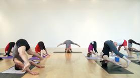 This flow is all about opening the upper back! Shoulder stretches start off the class followed by a stretchy Sun Salute B and shoulder openers in our standing poses. The heat leads us to the option of deep twisting or Grasshopper.