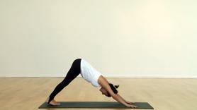 Downward Facing Dog Tutorial