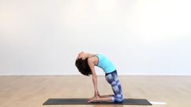 Tour Your Chakras