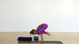 Find your physical and mental power to dive into arm balancing! Forget fear this is geared towards the 1/2 student learning to balance. Crow, hoping into Crow, Baby Crow, Flying Pigeon, 3 Side Planks and Side Crow are broken down in detail.