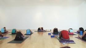 Elements of Flow: Restorative/Savasana