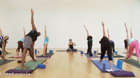 Elements of Flow: Standing Poses & Transitions