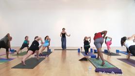 Elements of Flow: Internally Rotated Standing Poses