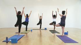 Beginner Flow Linking Movement to Breath