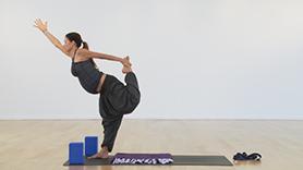 Active PreNatal Flow