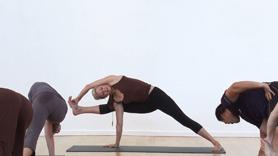 The Journey to Visvamitrasana