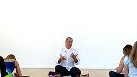Yoga Traditions of Householders and Ascetics