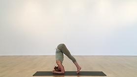 Headstand Variations for Strength and Stability