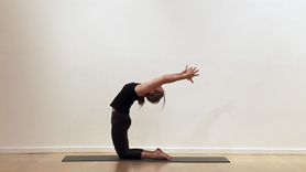 Get grounded and create roots regardless of the chaos around you. Find your
roots through strong standing poses such as Tree, Half Moon and standing
Warriors and Side Angle.  Feel safe, strong and stable after this strong,
classic flow.