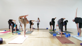 Level 3 - Advanced Practice

Zero pain equals a healthy gain!!
A challenging flow that combines flexibility with strength.
We warm up with a kneeling Surya Namaskar variation.
Our peek arm balances include handstand, forearm balance
and visvamitrasana into eka pada koundinyasana 2.