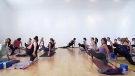 Balance Your Glandular System