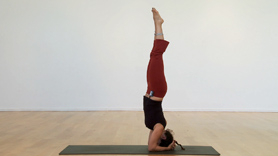 Here we are building a headstand from the ground up. You will learn Jodi's 4-stage method to build your headstand over time so that you can be free from working with a wall. Headstand is an important closing posture in the Ashtanga system.