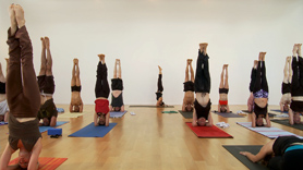 Full Vinyasa Primary Series