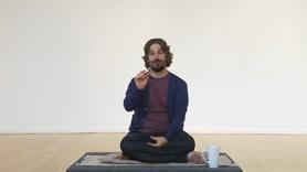 In this session Harshada discusses teachings and methods for engaging deeply with our life and taking advantage of time. Includes discussion and guided meditation. 