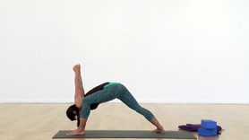 Engergize Your Body