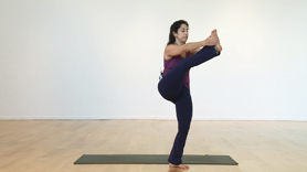 Condensed Primary Series for Busy Yogis