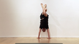 Bird Poses - basic warm up gradually building to vigorous standing pose flow to heat the body. Leading to a series of various 