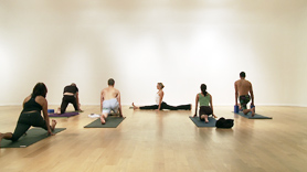 Slow meditative practice focusing on hip openers, forward bends and twists originating from the organ body. Ending with a 5 minute post savasana meditation, on the peaceful/contentment inner body.   