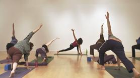 In Ravi Ravindra's book, The Spiritual Roots of Yoga, he offers Samadhi, the 8th limb of yoga, as a state of silence and of settled intelligence. This practice will incorporate a standing pose flow for your hips, breathwork that focuses on healing your eyes, hip openers and seated poses, all to offer the poses as medicine for your body, and bring on that state of silence and settled knowing. 