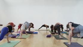 With this practice, develop a relationship of trust and fortitude, by opening your hips into standing binds, standing balances and arm balances, then to backbends, returning to hip openers. We practice being attentive to detail; just as in daily life when we build trust in our own capacities by paying attention, here we place attention on how we energize our feet to relate well and supportively to ourselves in any moment. 