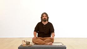 Medicine Animal Meditation