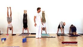 Handstand Practice: Celebrating Our Humanity