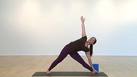 Basic Iyengar Alignment