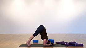Prep for Headstand & Shoulderstand