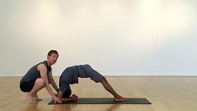 Arm Balances, Backbends and Inversions