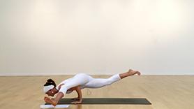 Build the Intelligence of the Body