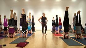 Shoulderstand & Headstand Family