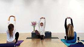 Bridge Between Worlds: The Role of the Gunas