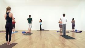 Sun Salutation Series
