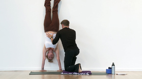 Vikalpa-Samskara- Refining our hearts.
Vikalpa Samskara is the process by which we move from limited, contracted
thinking to deeper and greater awareness.  In this class we will do Vikalpa
Samskara on different Loops in the body. Specifically, we’ll reinforce the
notion that the Loops are not only a back body experience (inner
transformation) but also a front body experience (how we as individuals live
in the world).
Standing poses, handstands and backbends are explored using this theme.
Strong intermediate level
