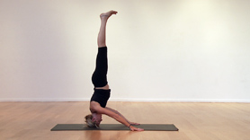 Tara's Home Yoga Practice