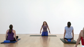 This all over practice starts at the top of the body with neck and shoulder releases before moving into a hand, wrist and shoulder series that is perfect for people who spend a lot of time at the computer. 

Lounge lizard and hammock release the spine before we move into hip openers that are perfect for people with knee injuries since we spend time on the back
segueing into a satisfying savasana. 