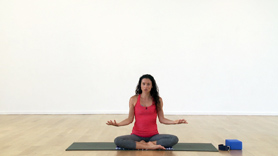 Yoga Transitions Class