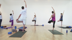 Shoulders get some nice loving in this strengthening crescent flow class.   After Crescent Sun Salutes (Surya Namaskar) we break down some basics such as the arm action for Downward Facing Dog (Adho Mukha Svanasana), and the major actions for Cobra (Bhujangasana).  Try this balance combination of Tree (Vriksasana) into Eagle (Garudasana) into Crescent Twist!  It not only is a work out for the body but for the mind as well.  Locust (Salabhasana) is a terrific strengthening backbend followed by a little abdominal work to really strengthen the core.  We finish with a duo of Cobbler's Pose (Baddha Konasana).  To your vitality yogis!!