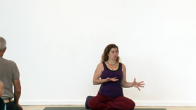 30 Minute talk on Cultivating a Healthy Relationship with the Kapha Dosha of
Earth and Water 
The Earth is ultimately the source of all of our nurturing, support and
unconditional love and the kapha dosha, the energy of water and earth
embodies this fully. In our need to feel grounded and supported, sometimes
we look for love in all the wrong places, or other times the weight of the
world around us is heavy and stagnant throughout our bodies. How do we
create more stimulation and circulation and move energy with compassion and
love? That's the question explored here.