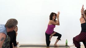 Shaking off doubts and cultivating steadiness, in our minds, hearts and bodies; this is one of the privileges of our practice. Build a flowing sequence of twists, standing poses, hamstring stretches and hip openers to clear and shake out what holds you back. Welcome clarity, ease and peace within yourself as a way to heal the whole planet.